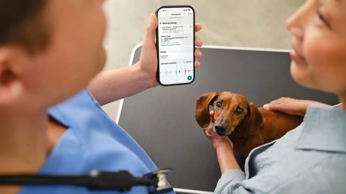 dvm360: Como a IA pode ajudar veterinários a detectar sopros cardíacos mais cedo