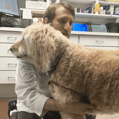 Estetoscópios Digitais Estão Transformando a Medicina Veterinária