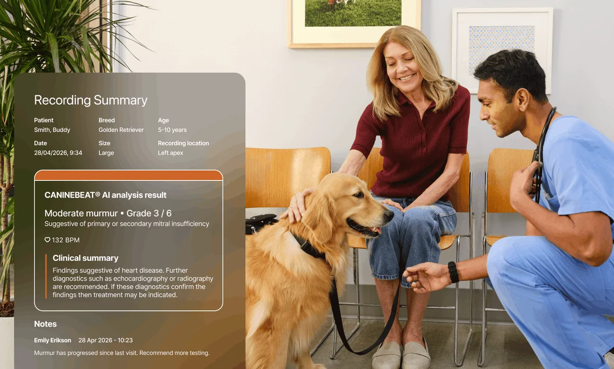Estetoscópios Digitais para Veterinária: Precisão na Ausculta de Animais