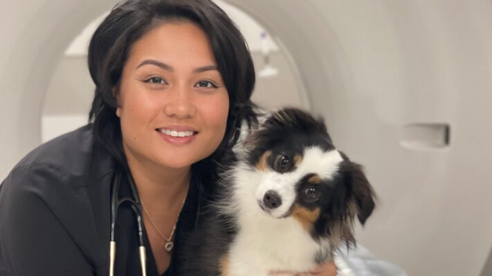 Técnico veterinário usa Eko para oferecer cuidados animais mais seguros e inteligentes