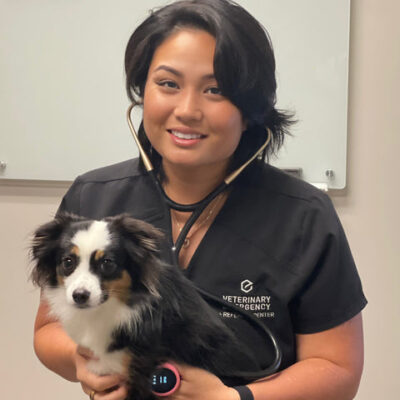Técnico veterinário usa Eko para oferecer cuidados animais mais seguros e inteligentes